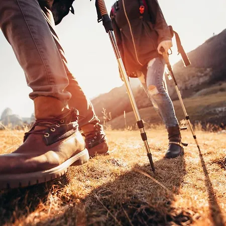 Apartments Gli Ulivi In Tremezzina 特雷梅佐