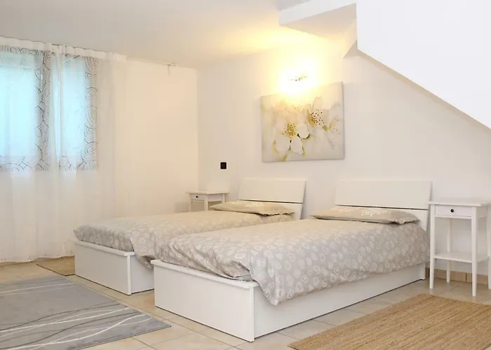 Gli Ulivi In Tremezzina *